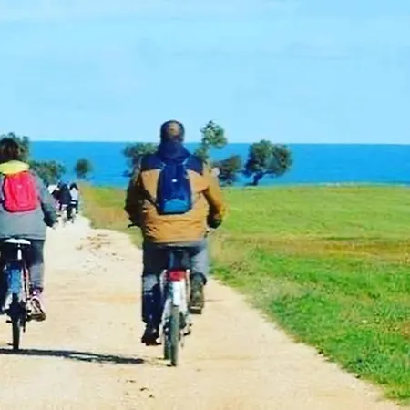 Casa Olivetto Σπίτι διακοπών *